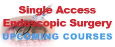 SAES Courses SAES_cours_eng